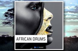 Pulsed Records African Drums WAV