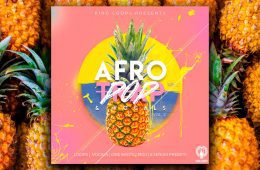 Afro Trap and Vocals Vol 2 MULTi