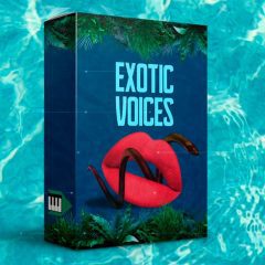 Midilatino Reggaeton Exotic Voices WAV