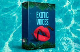 Midilatino Reggaeton Exotic Voices WAV