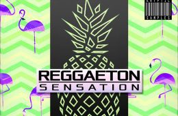 Kryptic Samples Reggaeton Sensation Vol1 WAV