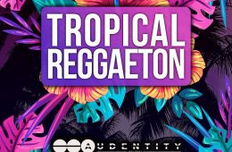 Audentity Tropical Reggaeton MULTi