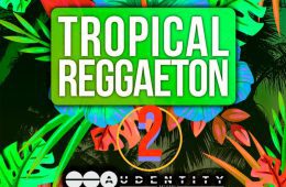 Audentity Tropical Reggaeton Vol2 MULTi