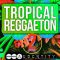Audentity Tropical Reggaeton Vol2 MULTi