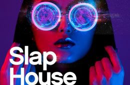 Slap House Essentials MIDI-WAV-SERUM