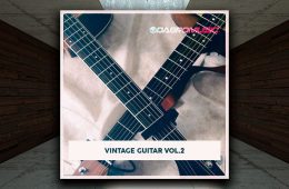 DABRO Music Vintage Guitar Vol2 WAV