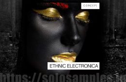 Concept Samples Ethnic Electronica WAV