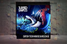 Catch Tech House and Release WAV-MIDI