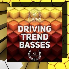 Flagman Driven Trend Basses WAV