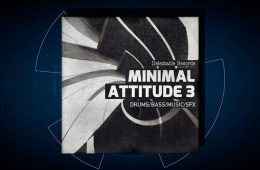 Delectable Records Minimal Attitude 03 WAV