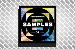 Deeperfect Samples Vol 1 WAV