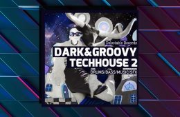 Dark And Groovy TechHouse 02 MULTi