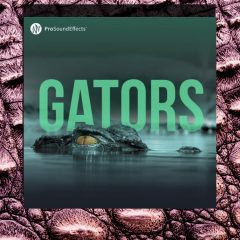 Pro Sound Effects Gators WAV