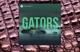 Pro Sound Effects Gators WAV