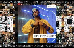 Concept Samples Hip Hop Vocals 2 WAV