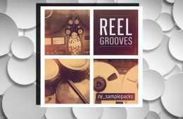 RV Samplepacks Reel Grooves WAV-REX