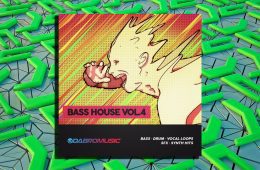 DABRO Music Bass House Vol 4 WAV