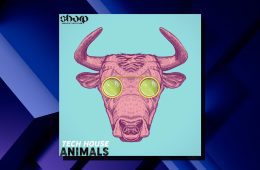 SHARP Tech House Animals WAV-MIDI