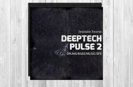 Delectable Records DeepTech Pulse 02 MULTi