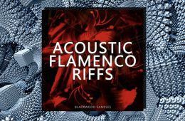 Blackwood Acoustic Flamenco Riffs WAV