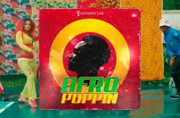 Afropoppin Vol1 Afrobeats Dancehall MULTi