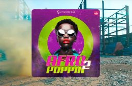 Afropoppin Vol2 Afrobeats Dancehall MULTi