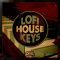 Black Octopus Lofi House Keys WAV