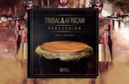 Black Octopus Tribal-African Percussion WAV