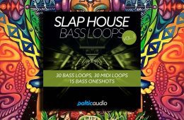 Slap House Bass Loops Vol 3 WAV-MIDI