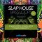 Slap House Bass Loops Vol 3 WAV-MIDI