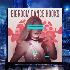 Vital Vocals Bigroom Dance Hooks WAV