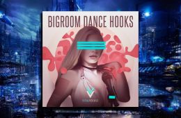 Vital Vocals Bigroom Dance Hooks WAV