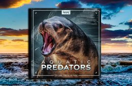 Boom Library Aquatic Predators WAV