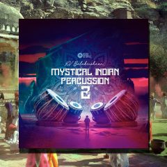 Mystical Indian Percussion 2 WAV