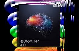 Sample Tools by Cr2Neurofunk DnB WAV