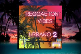 Ms Loopz Reggaeton Vibes Urbano 2 WAV