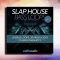 Slap House Bass Loops Vol2 WAV-MIDI