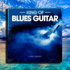 Loopmasters King Of Blues Guitar WAV