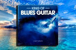 Loopmasters King Of Blues Guitar WAV