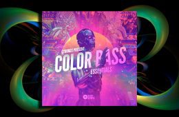 Sound Color Bass Essentials WAV