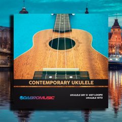 DABRO Music Contemporary Ukulele WAV