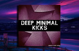 Bones N Grit Audio Deep Minimal Kicks WAV