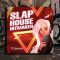 Singomakers Slap House Hitmaker WAV
