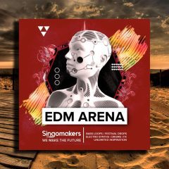 Singomakers EDM Arena WAV-REX2