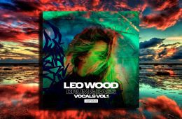 Leo Wood Drum and Bass Vocals Vol1 WAV