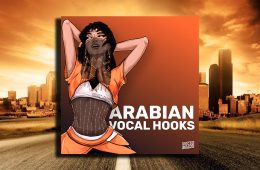 Vocal Roads Arabian Vocal Hooks WAV