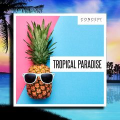 Concept Samples Tropical Paradise WAV