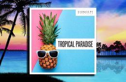 Concept Samples Tropical Paradise WAV