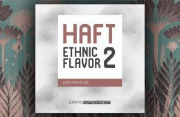 HAFT Ethnic Flavor 2 WAV-MIDI