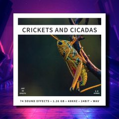 JSE Crickets and Cicadas WAV